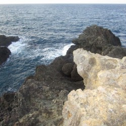 小下田・高島