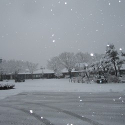 鳴沢村