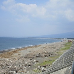 片浜海岸　釣り