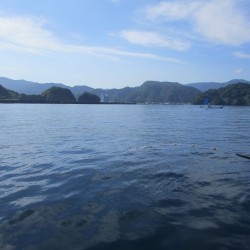 雲見　釣り