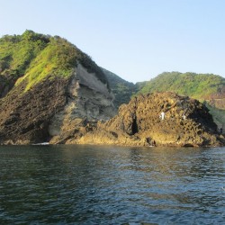 雲見ひらめ