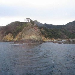 小下田の磯　台鼻