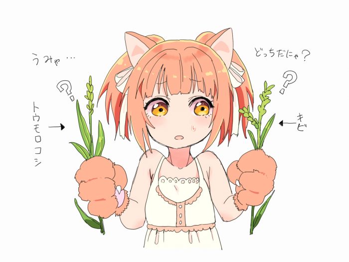 猫耳の女の子がトウモロコシとキビを比べているイラスト。