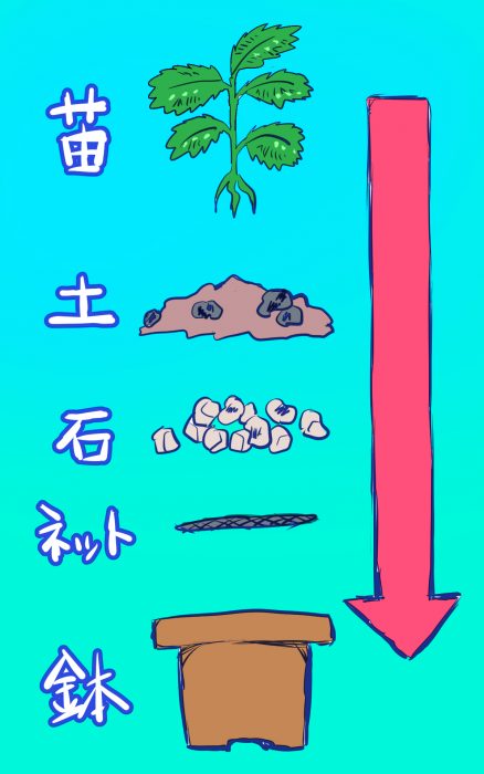 植えていく順番のイラスト