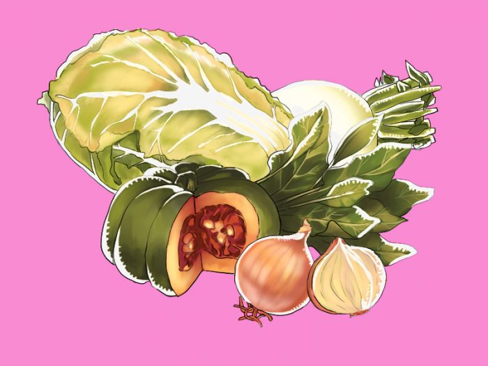 冬野菜のイラスト