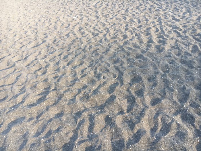 砂浜の写真