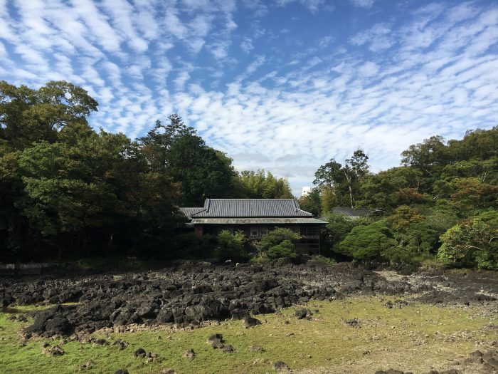 小浜池の写真