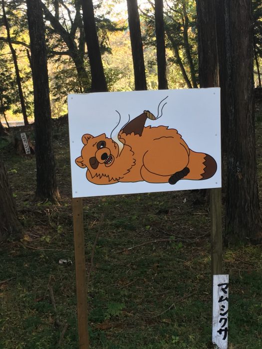 たぬきのイラストの写真