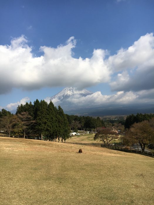 富士山の写真