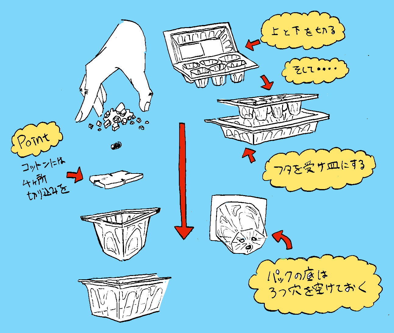 家の中でミニチンゲンサイを栽培しようと卵パックをプランターに改造して種から育てた 田舎暮らしブログ