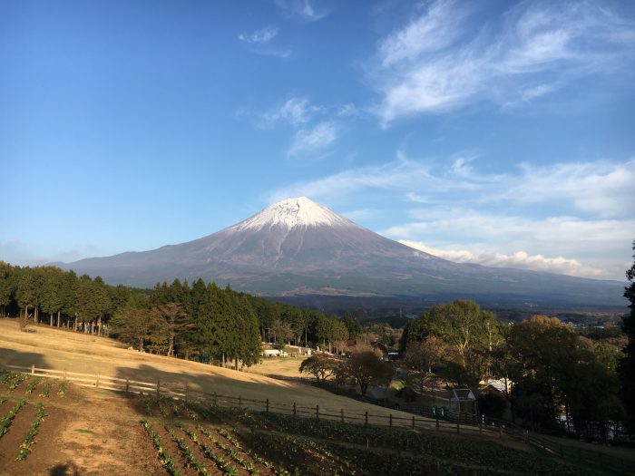 富士山の写真