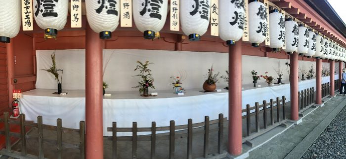生け花の展示写真