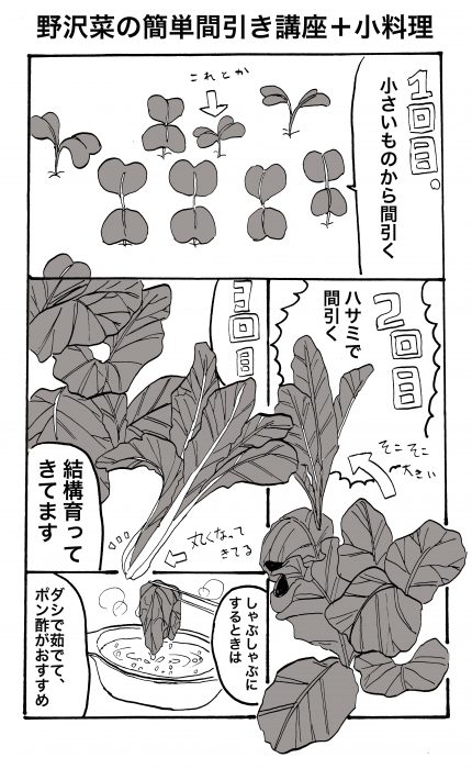 間引き講座漫画