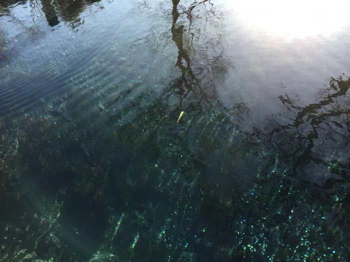 池の写真