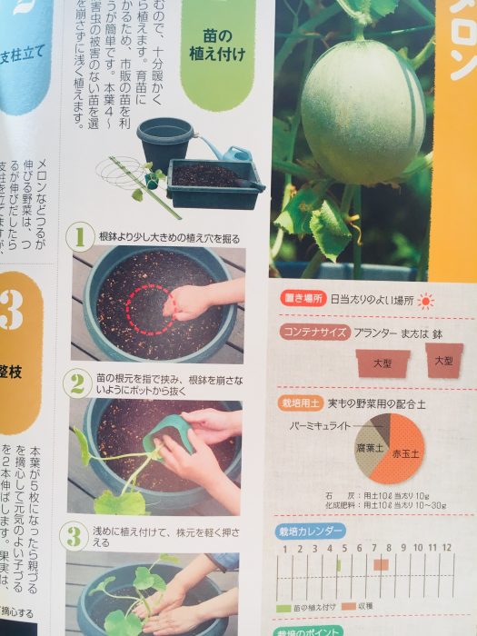 土のブレンドには赤玉土と腐葉土を混ぜると水はけがよくなりメリットが多い 田舎暮らしブログ