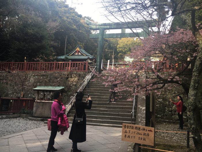 入り口の写真