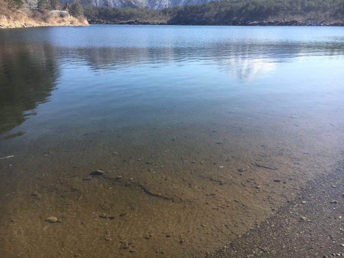 水面の写真