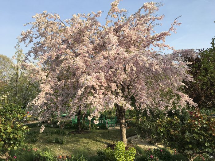 花の美術館の庭園内写真