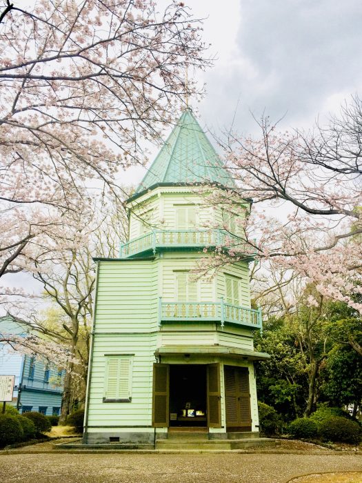 桜の写真