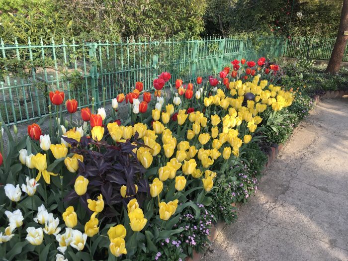 花の美術館の庭園内写真