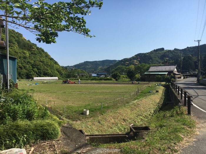 田舎の風景の写真