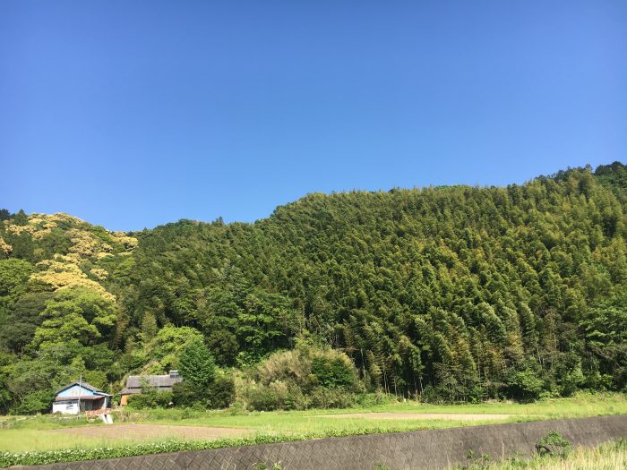 田舎の風景の写真