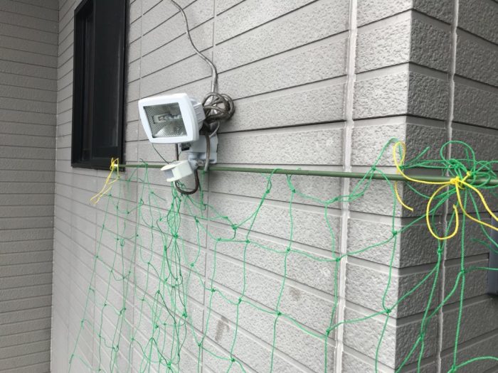 グリーンカーテンネットを吊るす方法の写真