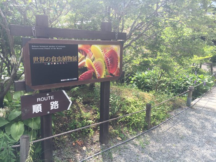 食虫植物の看板