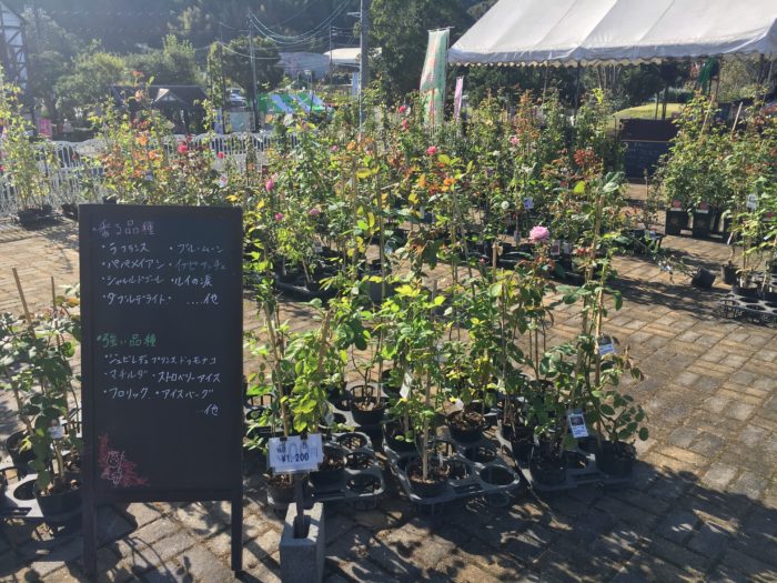 バラの丘の植木販売の写真