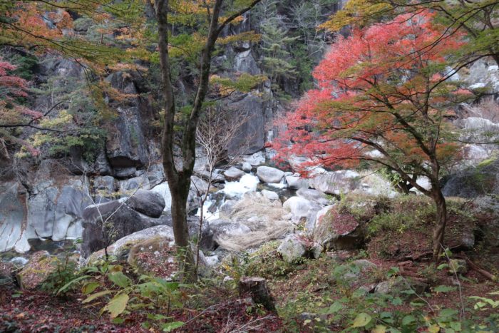 川沿いの写真