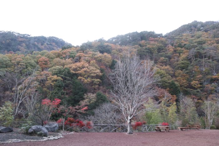 渓谷の風景の写真