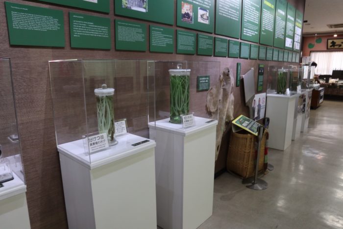 展示の写真