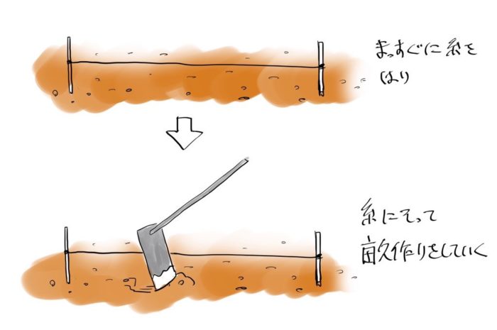 畝の作り方 平畝や高畝 短冊畝の簡単な説明 畝を立てる前に必要なもの 畝を立てなくても良いばいいについて 田舎暮らしブログ